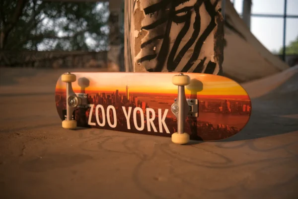 buy premium skateboards buy your first skateboard flip skateboard deck zoo york sunrise complete buy skateboard in india
