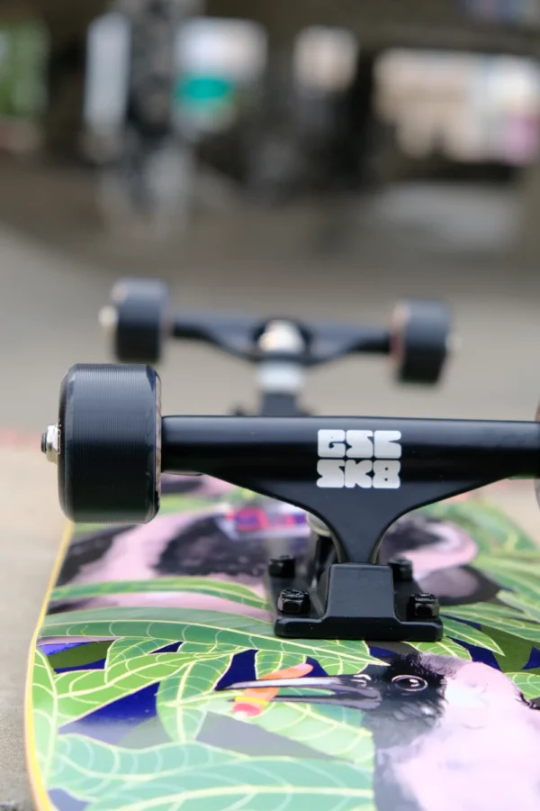 gscsk8 skateboard trucks on a MURDER complete